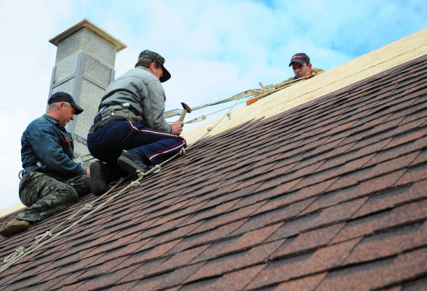 Professional Roofing Contractor in Verona, VA